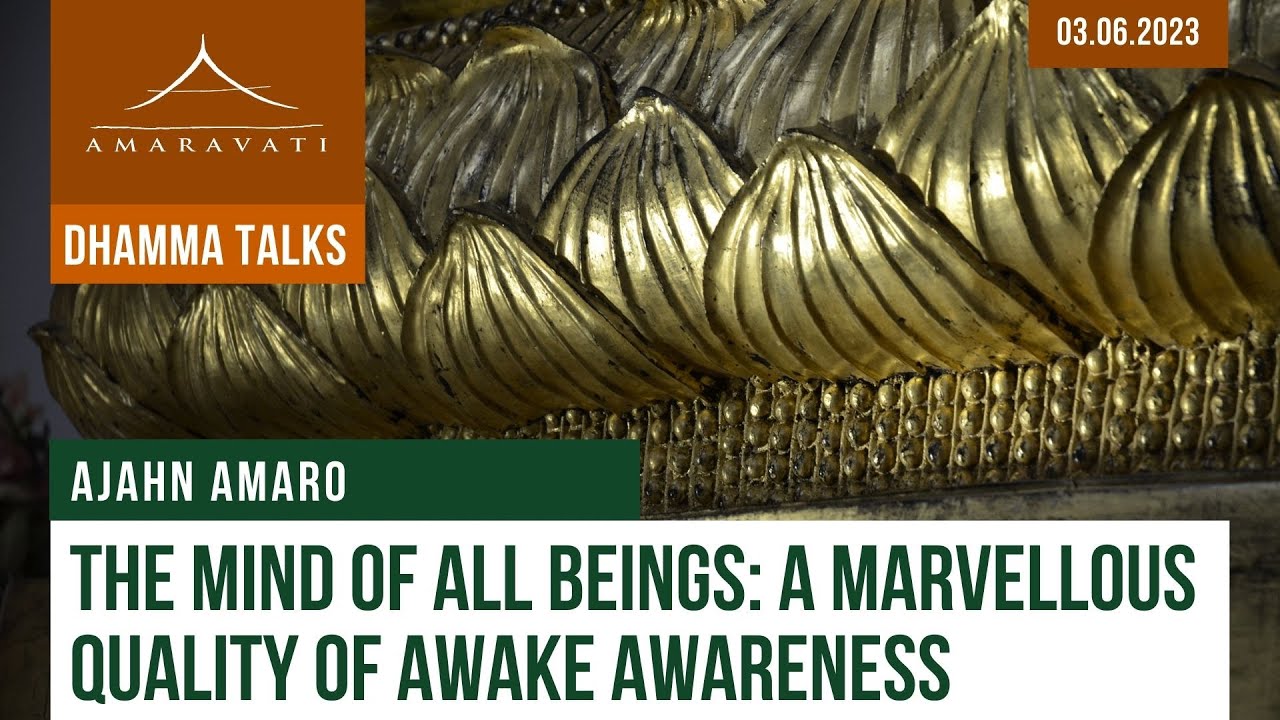 The Mind of All Beings: A Marvellous Quality of Awake Awareness | Ajahn Amaro | 03.06.2023