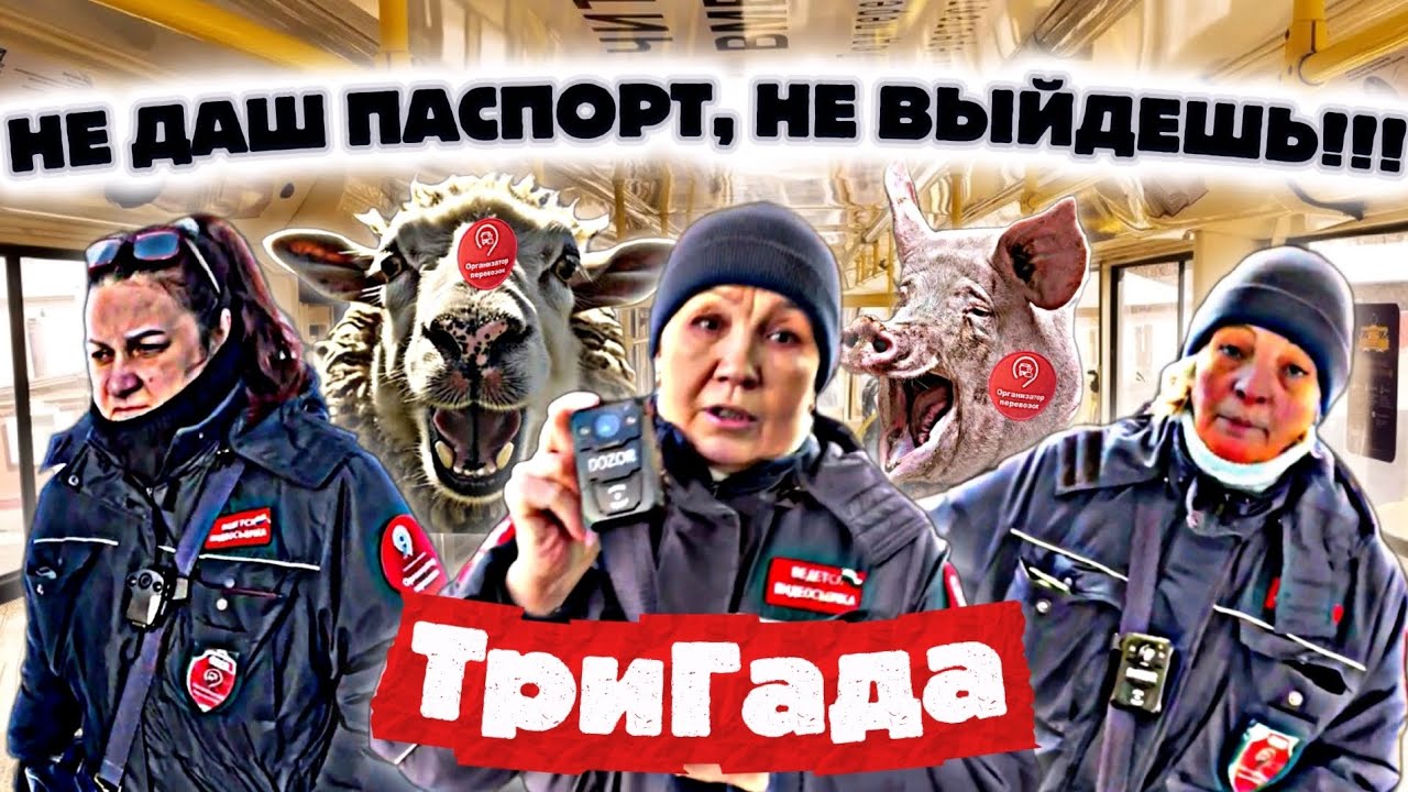 🛑Постыд дептранса Москвы Ликсутова Борзая контрота незаконно лишила гражданина свободы передвижения😡
