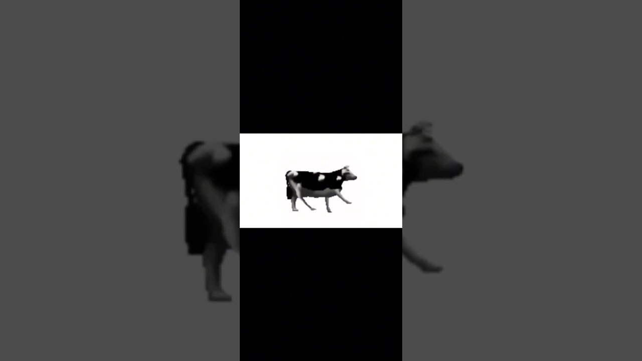 Polish cow (ULTRA SLOWED & REVERSB)