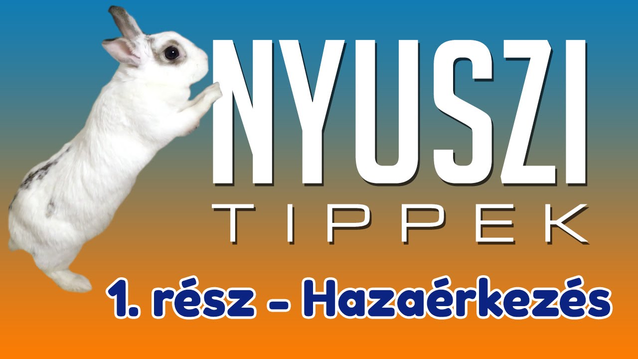 Hazaérkezés | NYUSZI TIPPEK #1