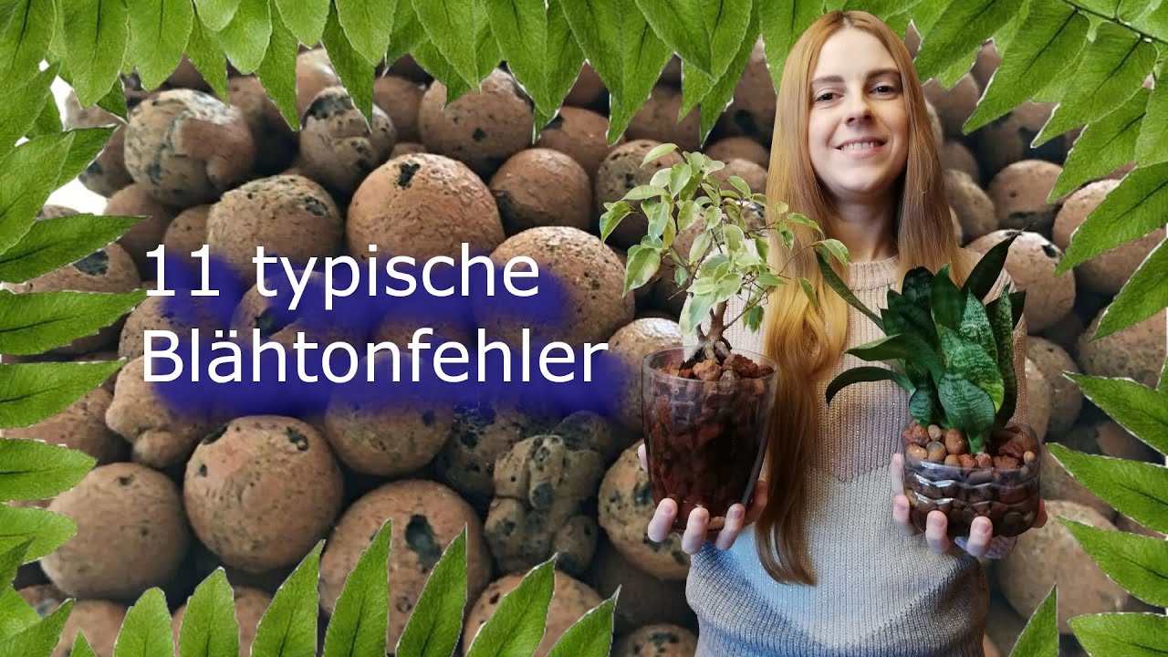 11 typische Blähtonfehler | Pflanzen  retten | Pflanzenpflege 1x1