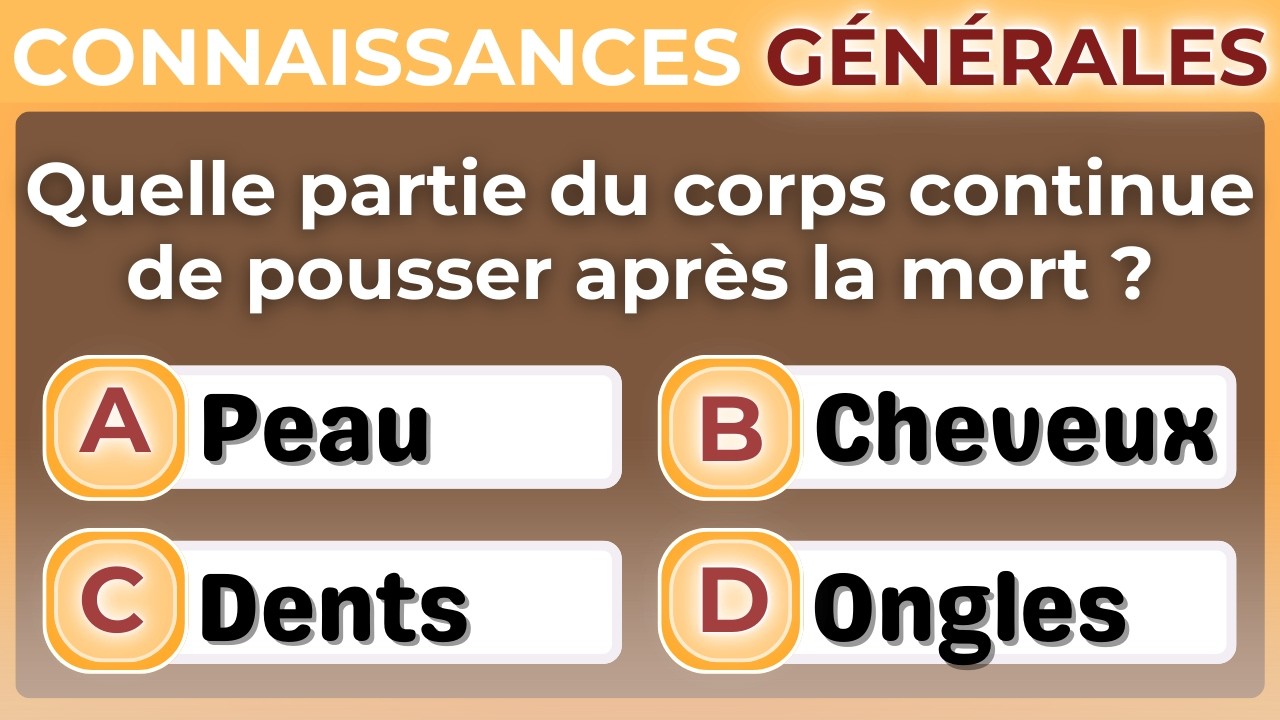 ATTEINDRE 3 SUR 15 PROUVE QUE VOTRE CERVEAU FONCTIONNE À PLEIN RÉGIME