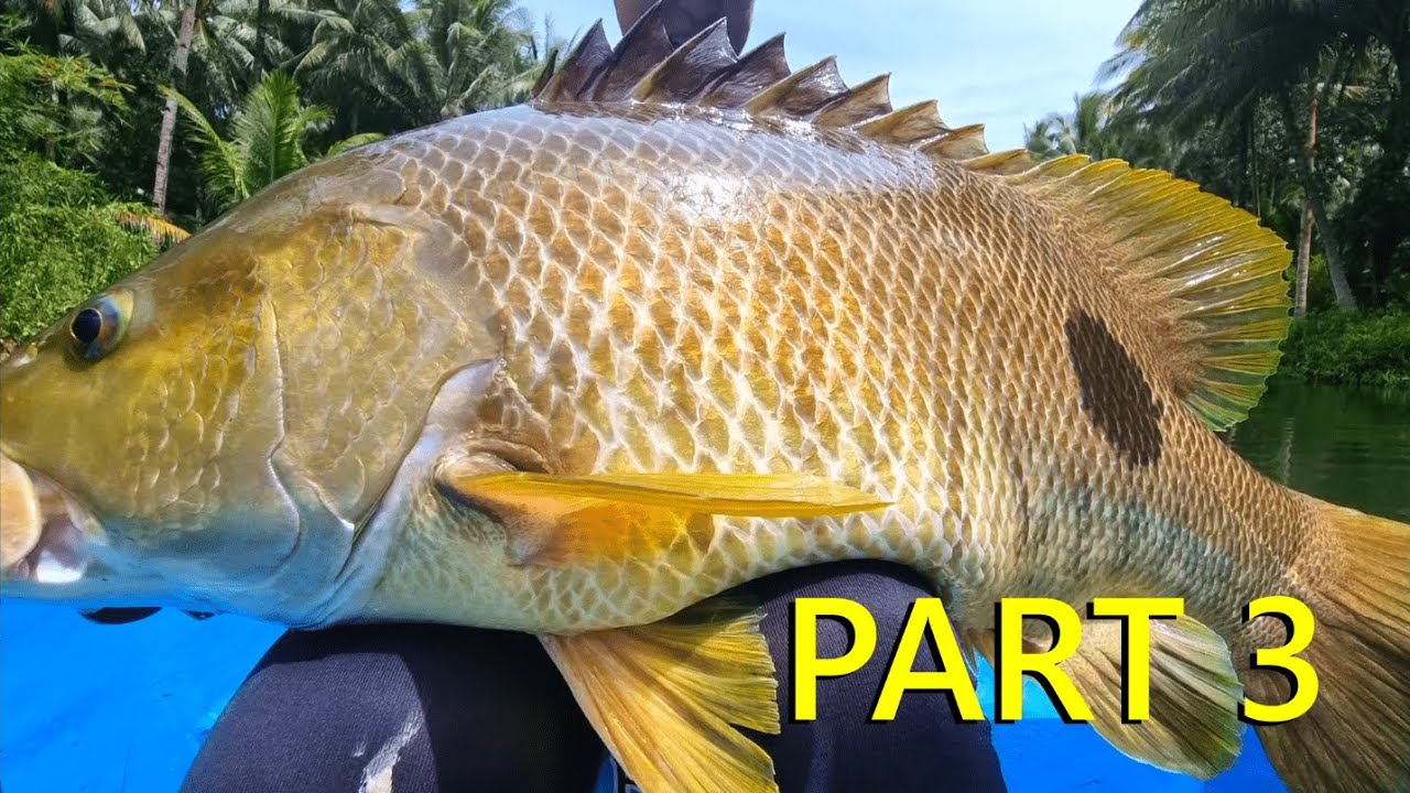 Solo Trip to Halmahera Tengah | Part 3 | BLACK BASS | SPOT TAIL