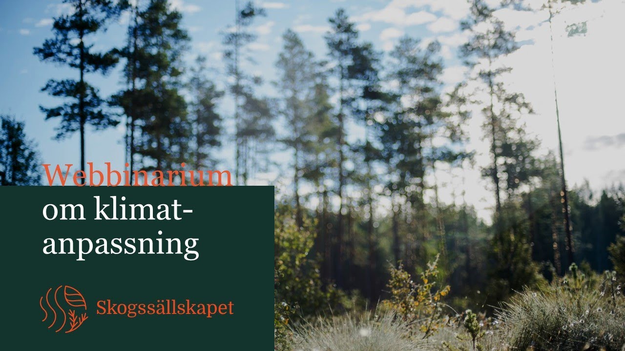 Webbinarium om klimatanpassning