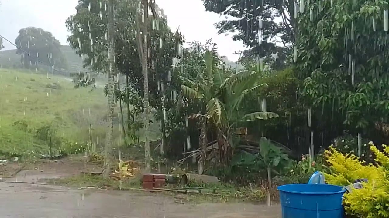 Chuva boa na roça. 