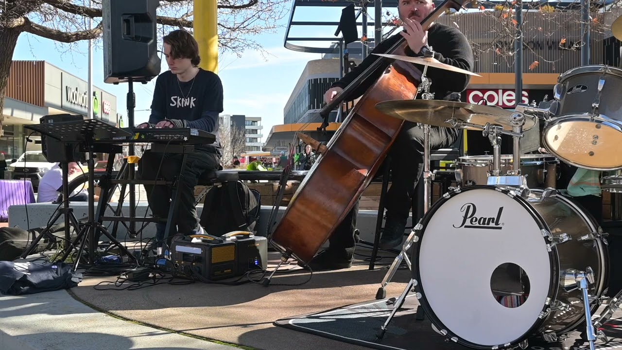 Skink Bass Solo