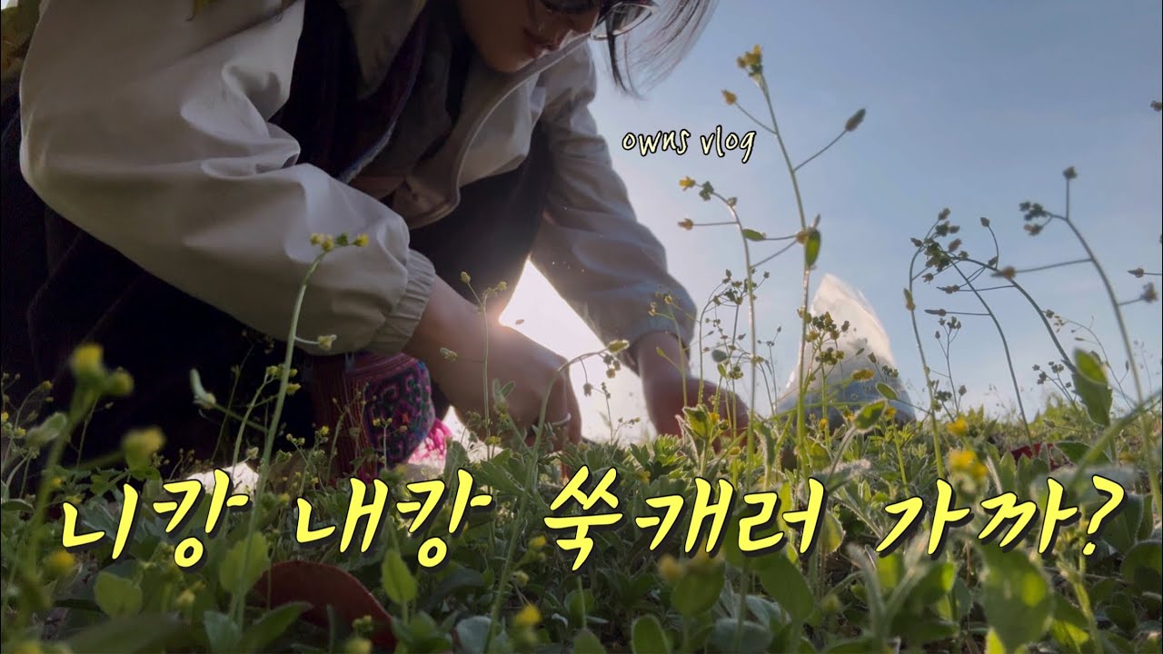 Vlog. 니캉 내캉 쑥캐러 가까?🌿부케 하바리움 만들기까지 힐링 풀코스✨