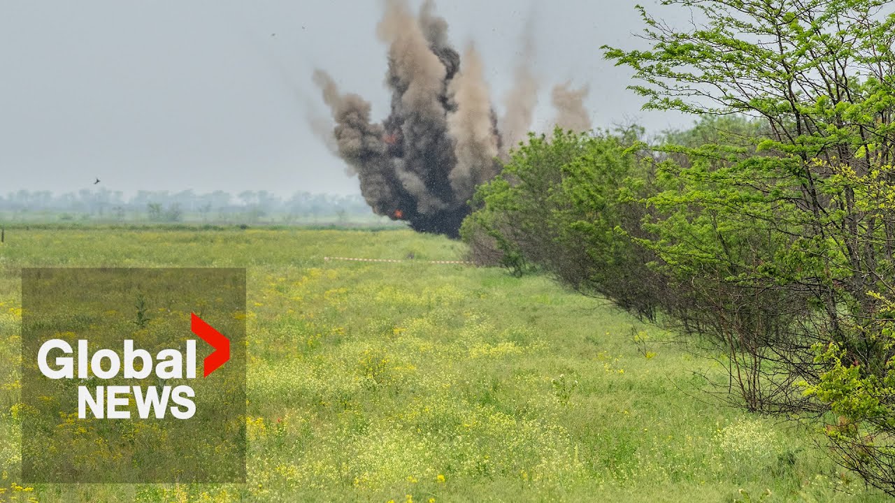 Demining Ukraine: How are land mines being removed from the front line?