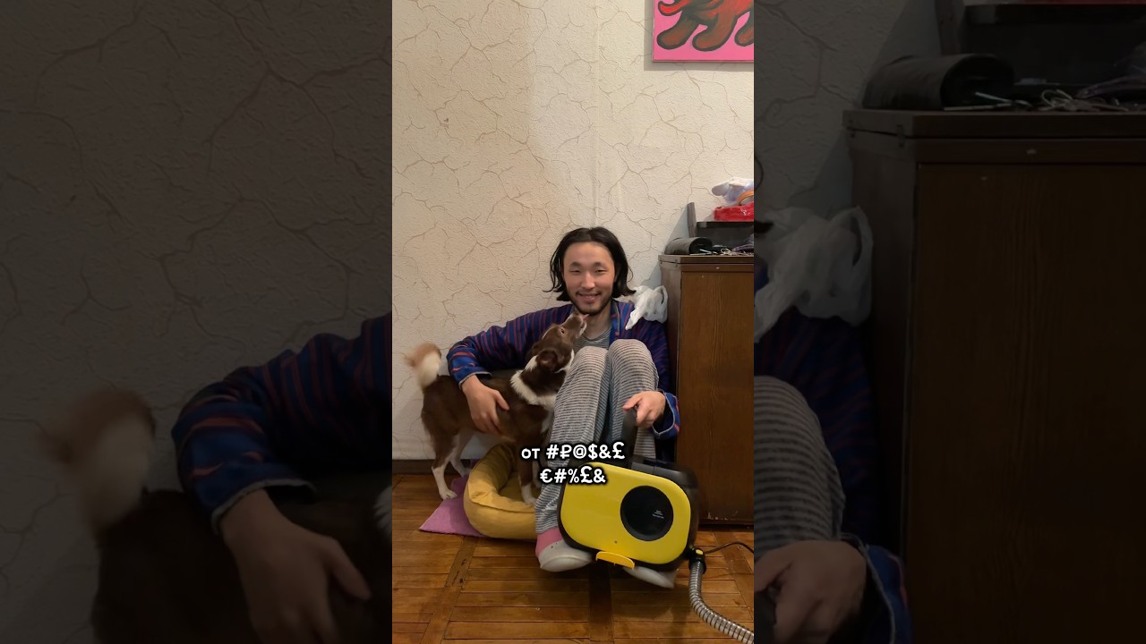 артикулы: 3379881104 (озон) 4877556258 (яндекс маркет)