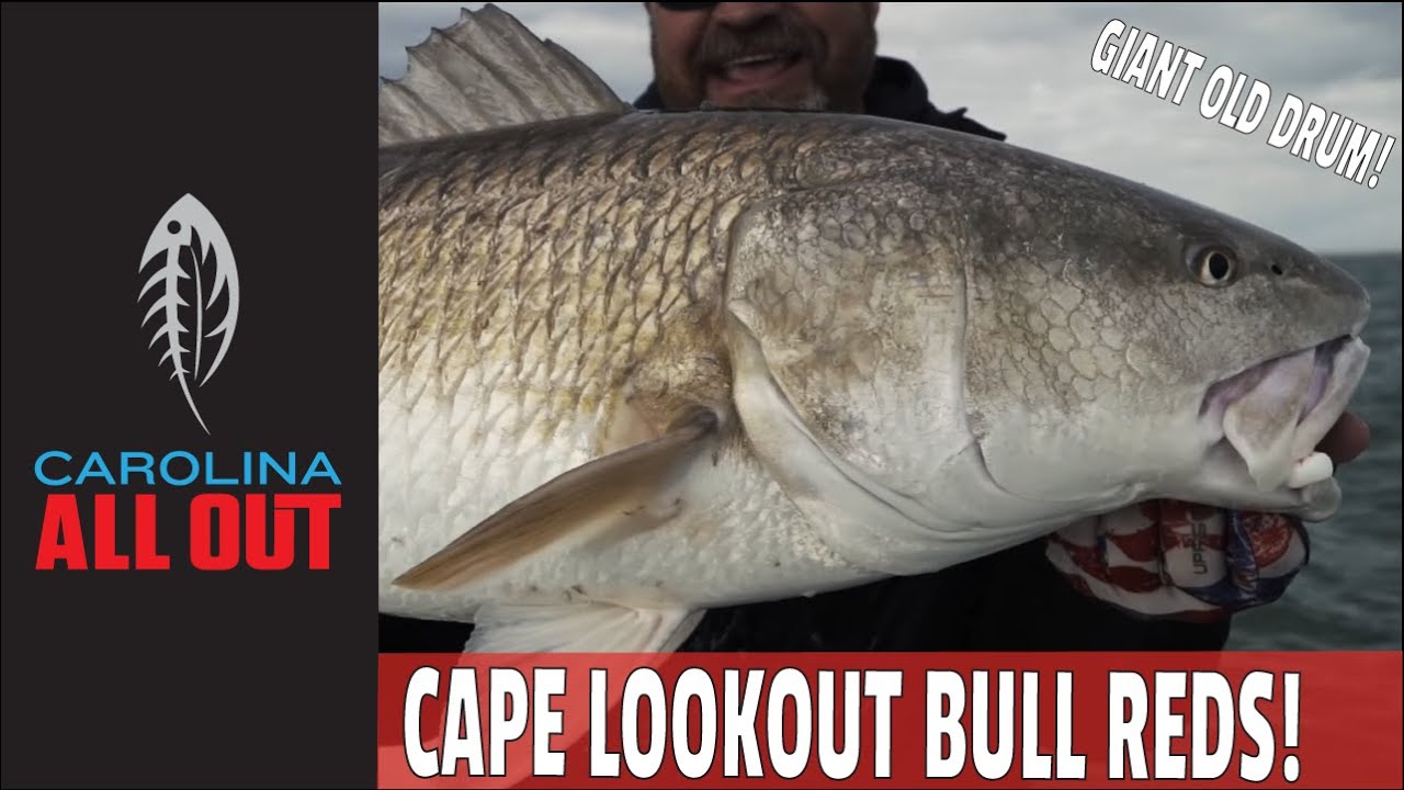 Cape Lookout Bull Reds in December | Carolina ALL OUT | S-5/Ep1