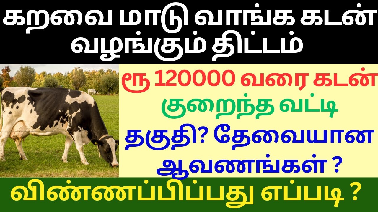 கறவை மாடு வாங்க கடன் வழங்கும் திட்டம் | Cow Loan Scheme | Buffalo loan scheme