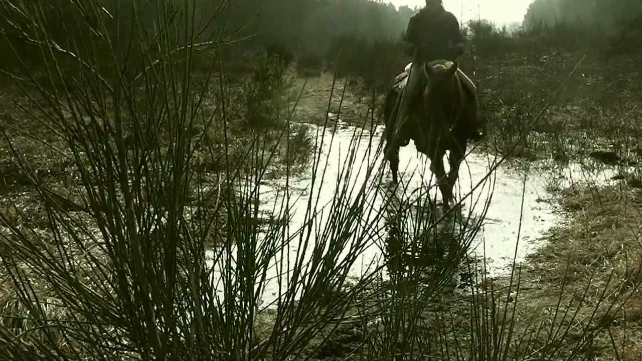 Riding a horse is like flying without wings.