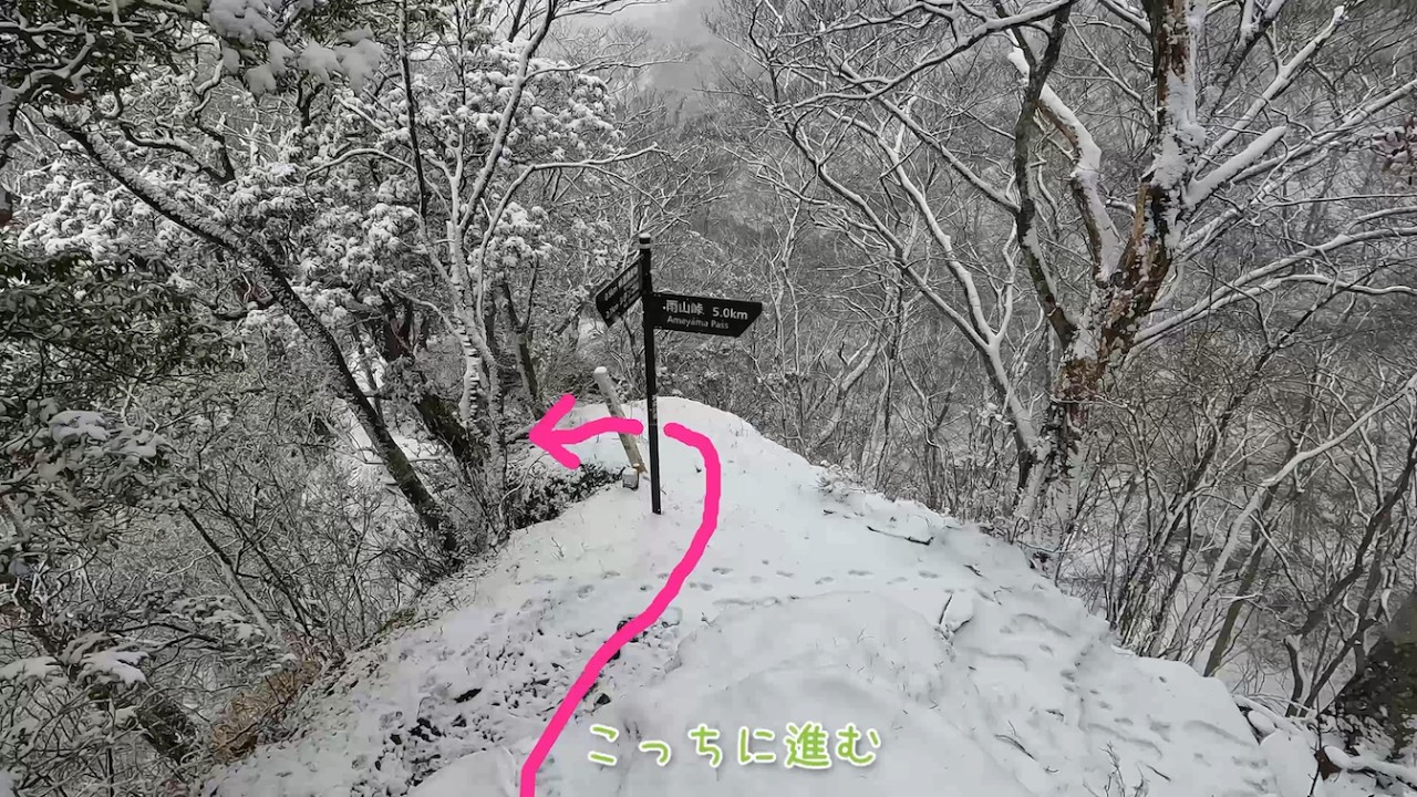 20260207 西丹沢 秦野峠 撤退