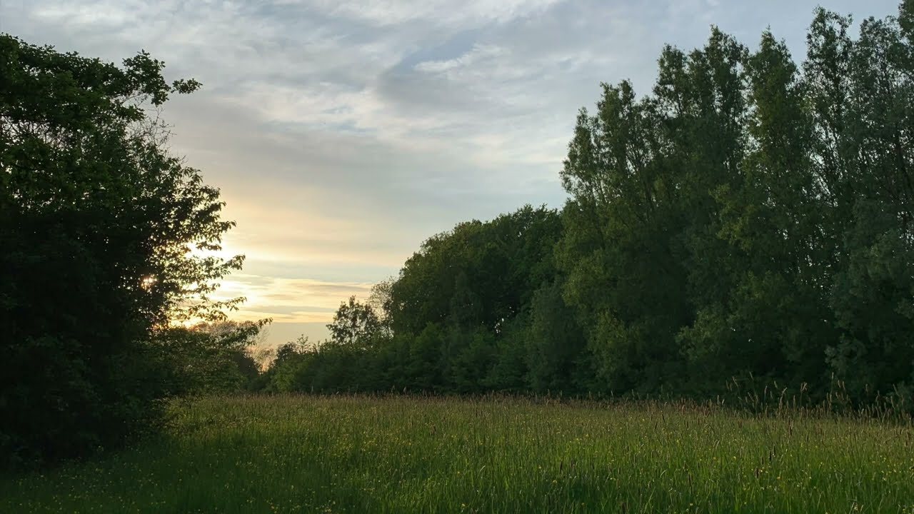Geführte Meditation: Entspannung im geheimen Garten – Stress abbauen & innere Ruhe finden