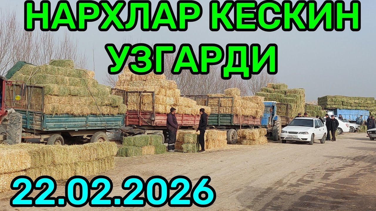 БУГДОЙ АРПА МАККА ЕМ ХАШАК ЧАНГАЛОК СОМОН БЕДА ПРЕСС НАРХЛАРИ КАРШИ КАРВОН МОЛ БОЗОРИДА 