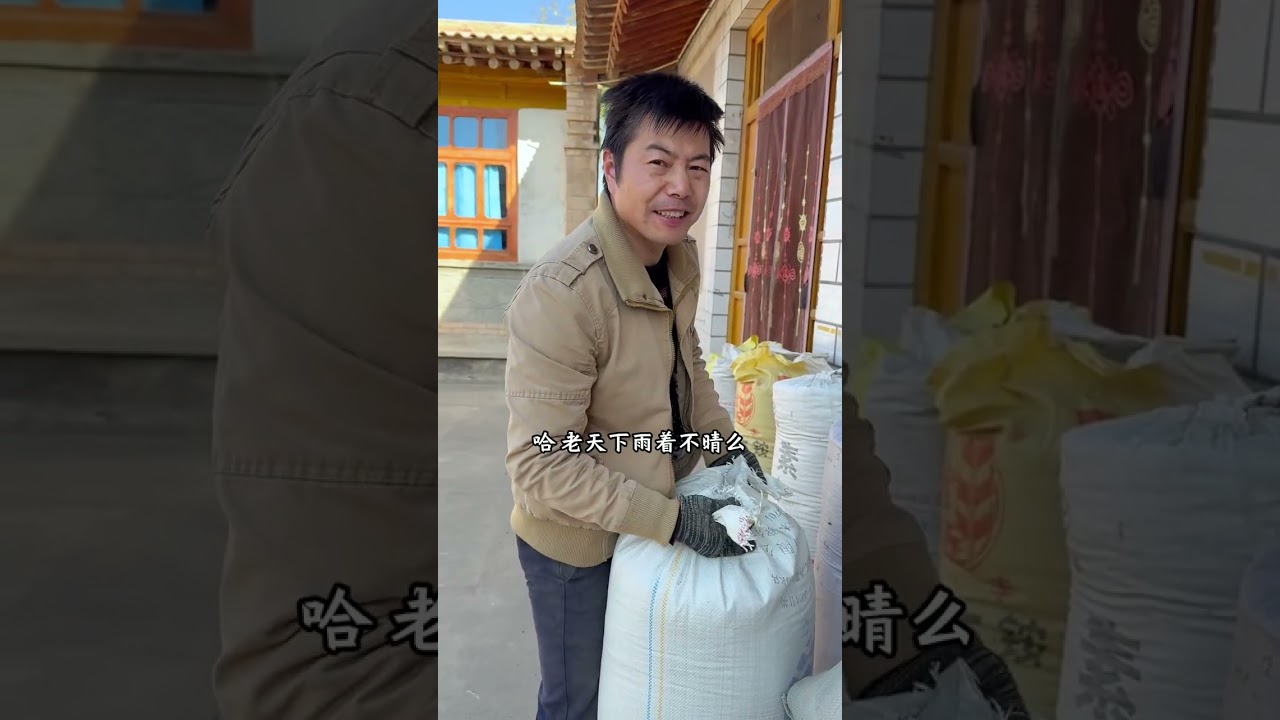 猫冬前，黄土高原上的甘肃农村人在忙些啥#记录真实生活 #陇上阿斌 #我的农村猫冬生活 #抖音新农人 #新农人计划2025