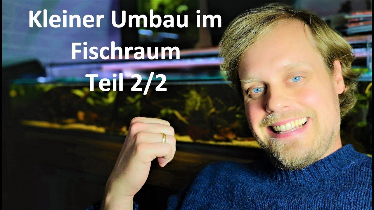 Kleiner Umbau im Fischraum Teil 2/2 - Einrichtung und Besatz