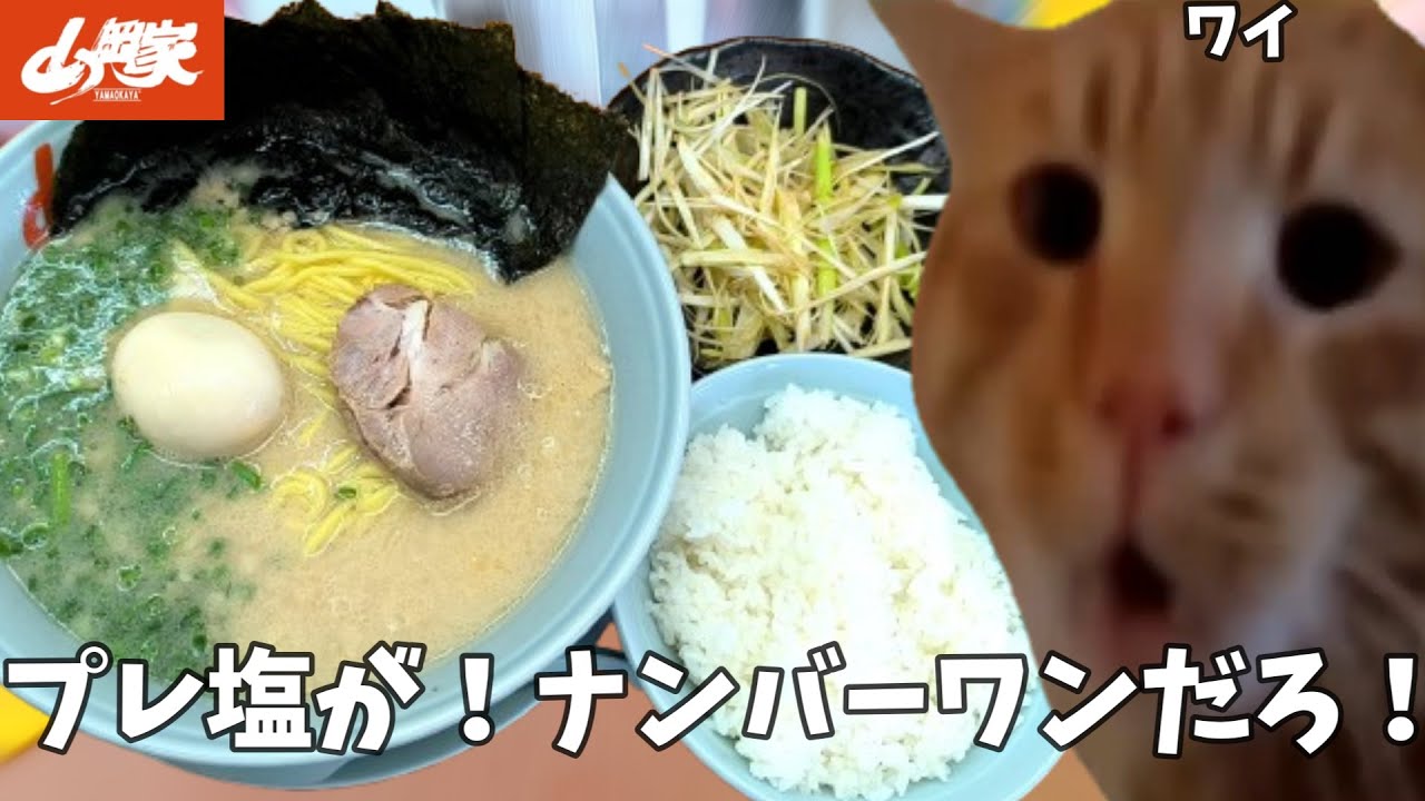 【山岡家】やっぱプレ塩だよな！！ネギとライスも頼んで腹パンになれ！！という話【クセになる味】#猫ミーム  #猫マニ
