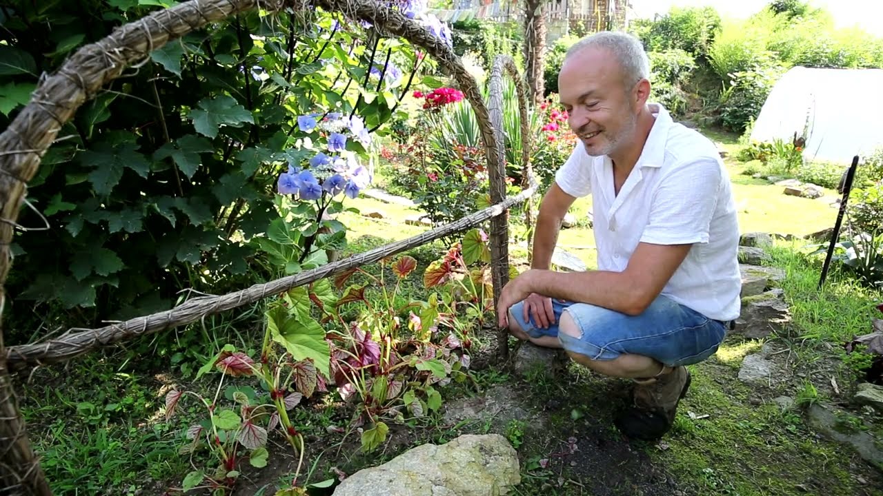 Video 229 - #Begonia evansiana e Gladioli fioriti