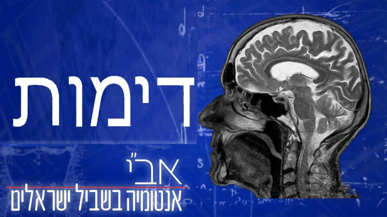 הסבר על דימות- רנטגן, אולטרסאונד, MRI ו-CT