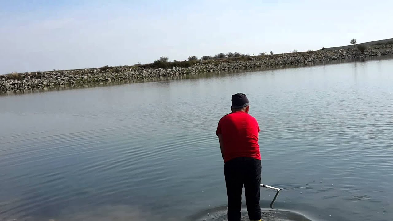 Çorum'da aynalı sazan avı