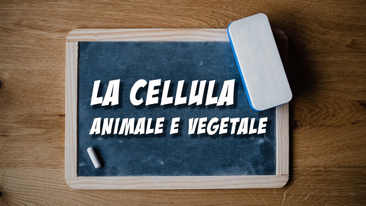 DIDATTICA A DISTANZA - La Cellula: Animale e Vegetale