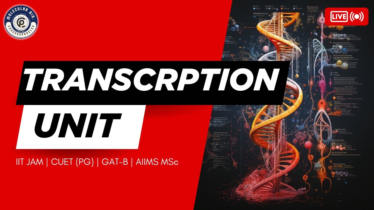 TRANSCRIPTION Unit | Promoter | Structural Genes | Terminator | Molecular Biology MAINS