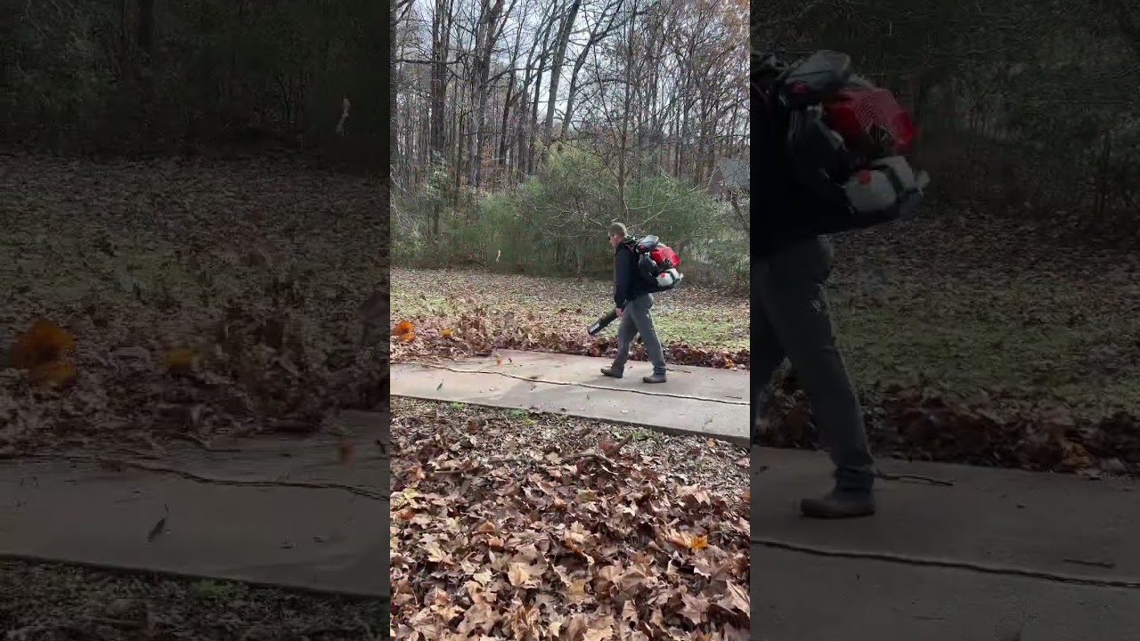 The Most Powerful Backpack Blower in the World - the ECHO PB9010 💪💪 #shorts