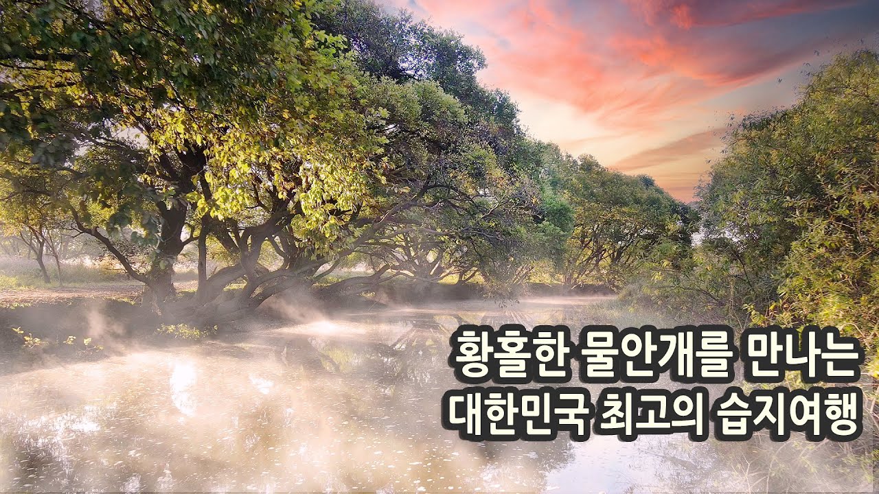 국내여행 다큐 / 대한민국 최고의 습지 창녕 우포늪 여행 / 황홀한 물안개와 1억 4000만년 전 태고의 신비를 만나는 곳 / 우포늪생명길, 여행유튜버, 랜선여행, 트레킹