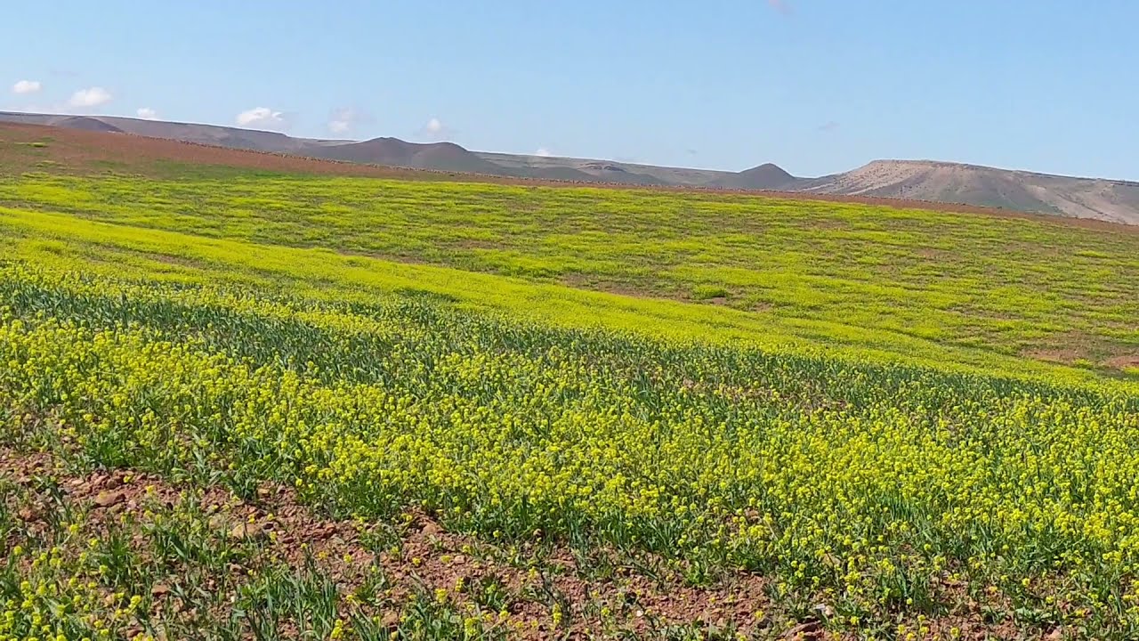 مناظر خلابة تسحر العيون