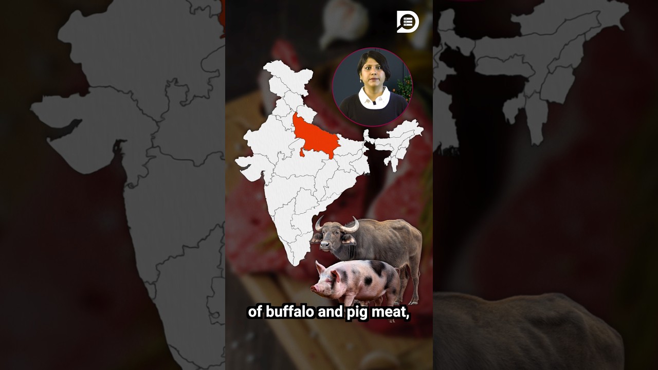 Which Indian states produce the highest amounts of meat?