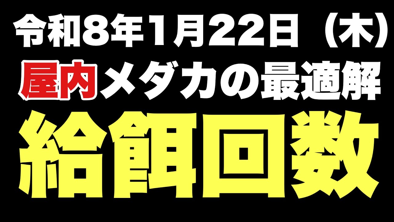 【めだか】屋内メダカの最適解〝給餌回数〟めだか沼2026.1.22