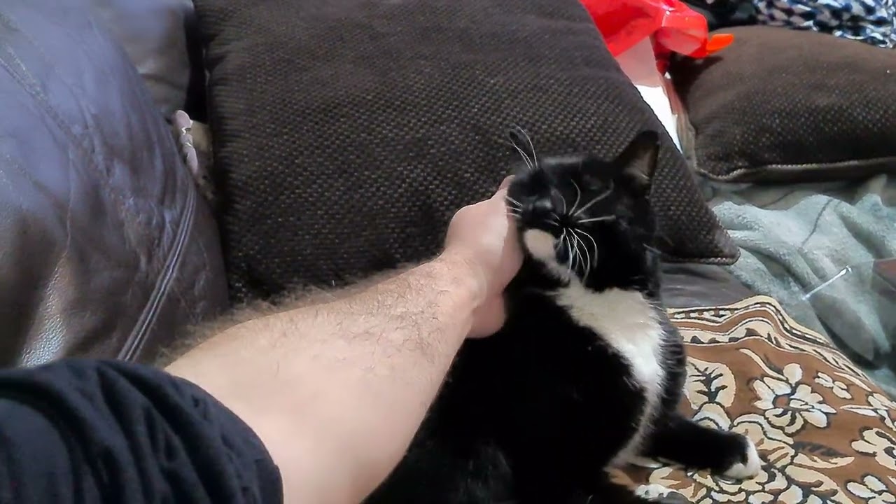 I need my whole hand to please her