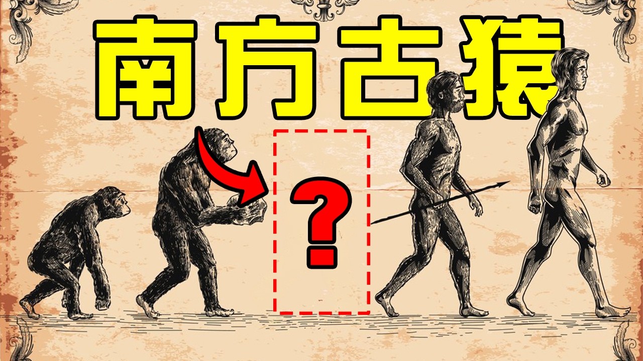 人類起源於非洲的最關鍵證據？是它們填補了人與猿間的缺失一環！丨片羽尋靈01丨黑毛羊駝