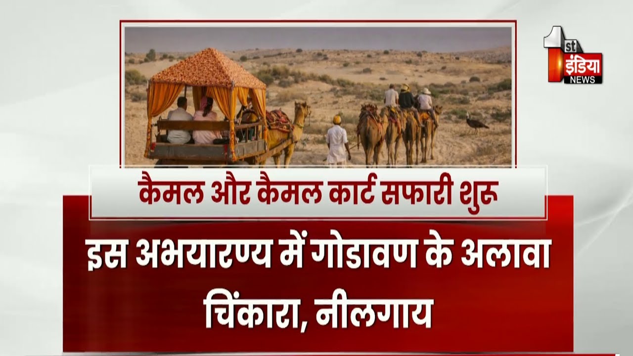 Desert National Park: शुरू हुई कैमल सफारी...शोर नहीं, संतुलन-संरक्षण आधारित पर्यटन की पहल |Exclusive