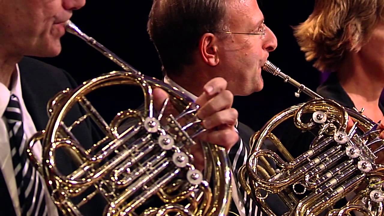 Dvořák 9th Symphony, Mov I (Timpani, excerpt)