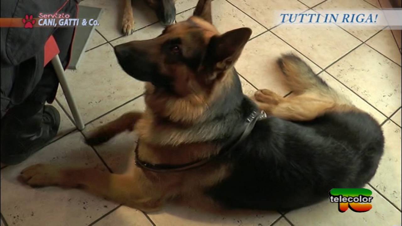 TUTTI IN RIGA con il Comandante Aldo Taietti: comportamento e controllo al bar