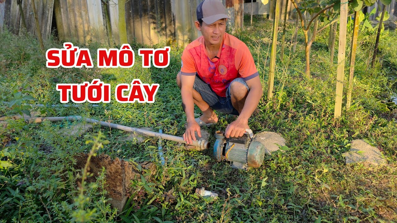 Hư Mô Tơ 7 Ngày Rồi. Giàn Mướp Khô Nước – Nay Đem Đi Đổi Tưới Giàn Mướp, Vườn Mít Sau Nhà