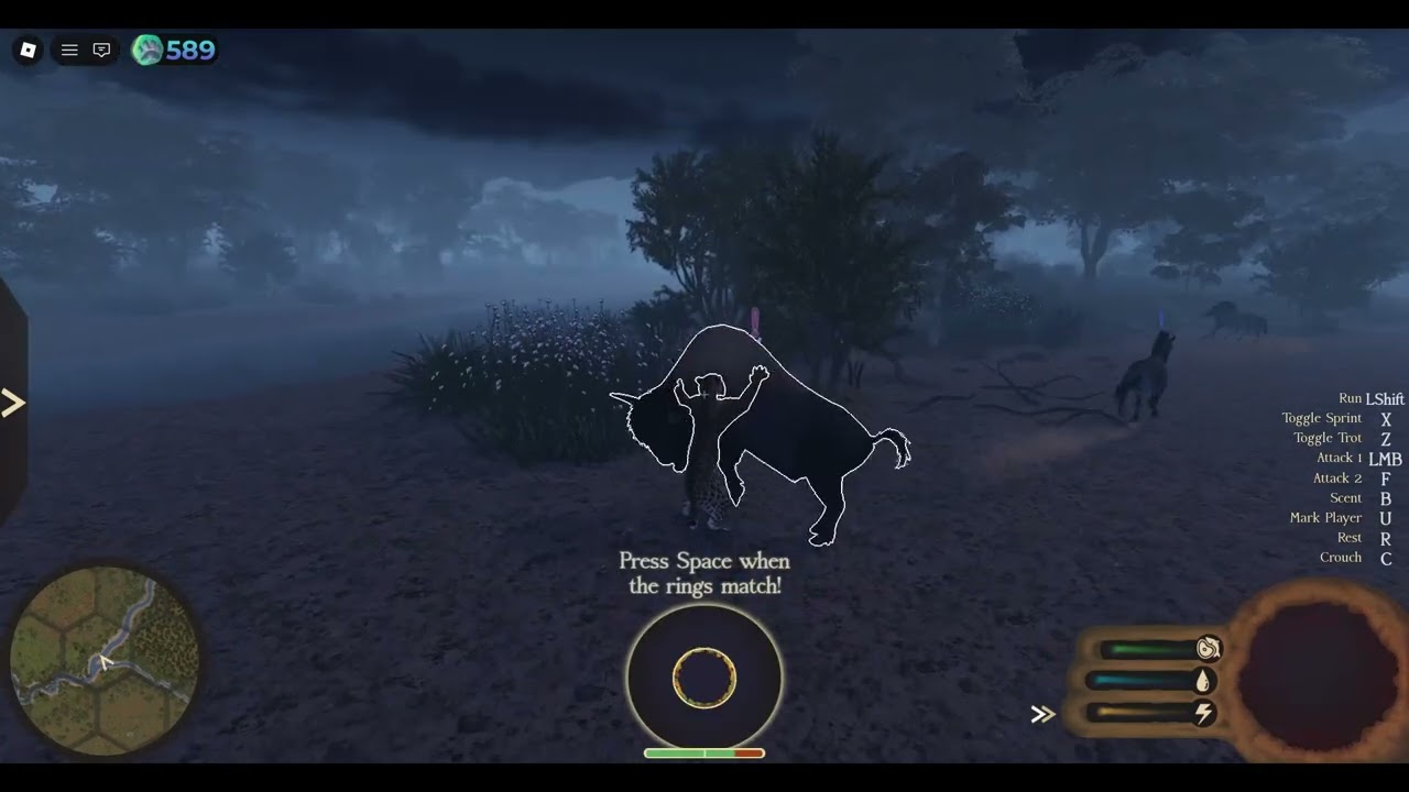 When the horses won't leave you alone | Ecos: La Brea