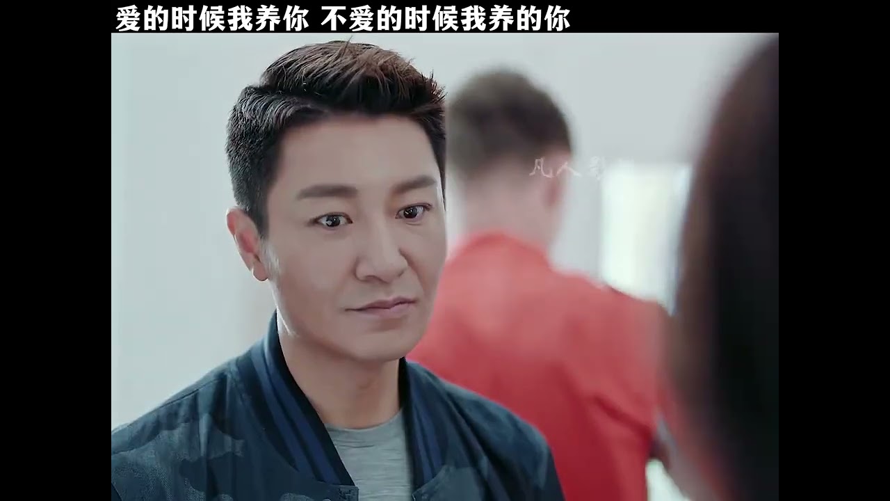&ldquo;我养你&rdquo;&ldquo;我养的你&rdquo; #辛芷蕾 #李宗翰 #靳东 #恋爱先生 #影视解说