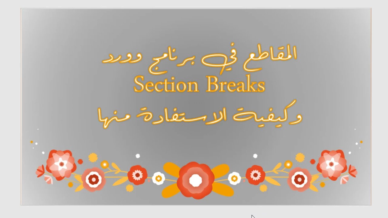 المقاطع في وورد  وأنواعها وكيفية الاستفادة منها