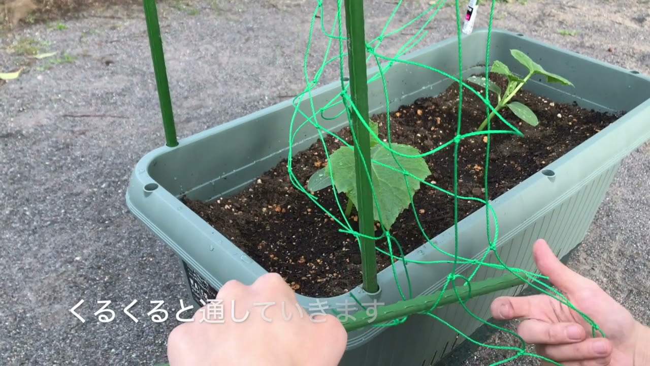 支柱の立て方