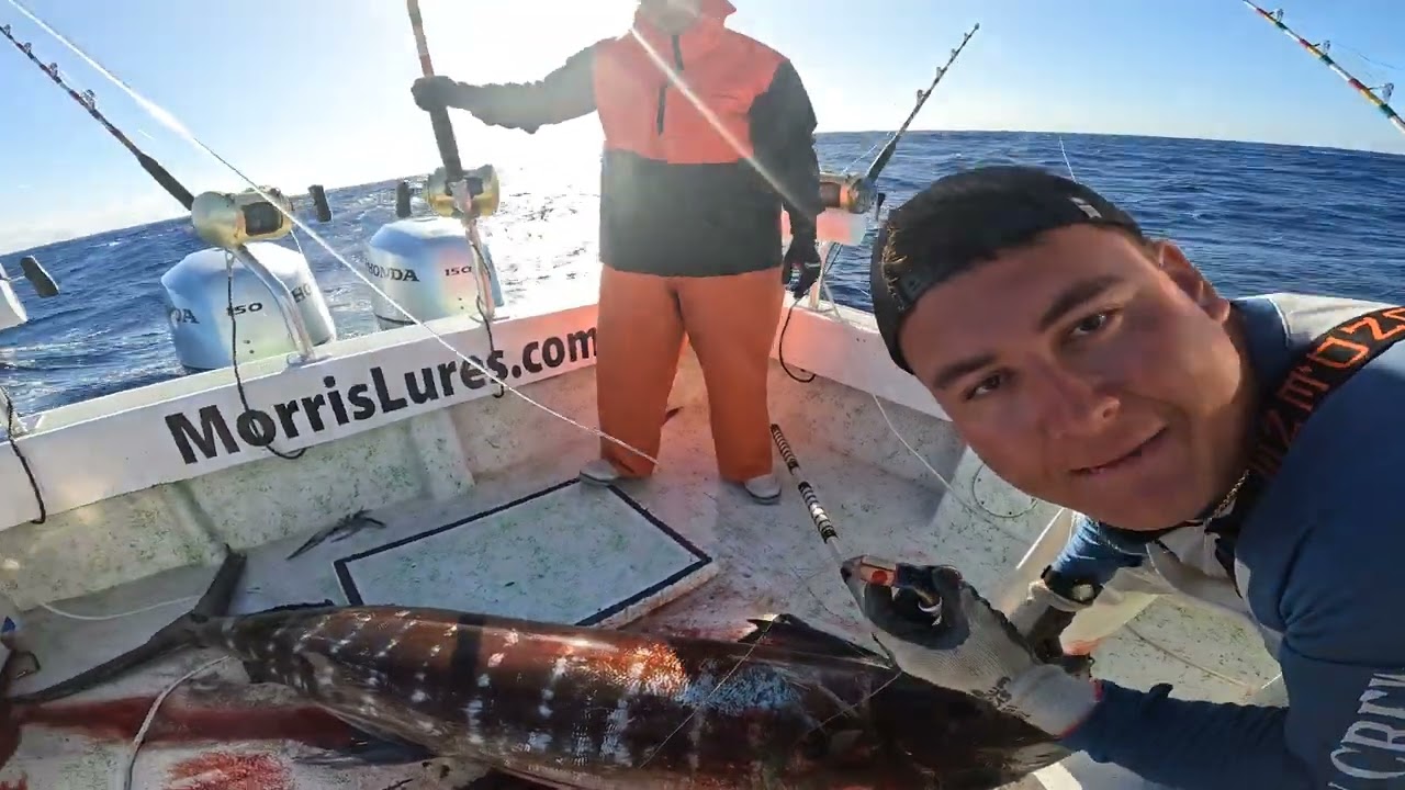 Fishing for the Endangered Zebra Bill Fish!