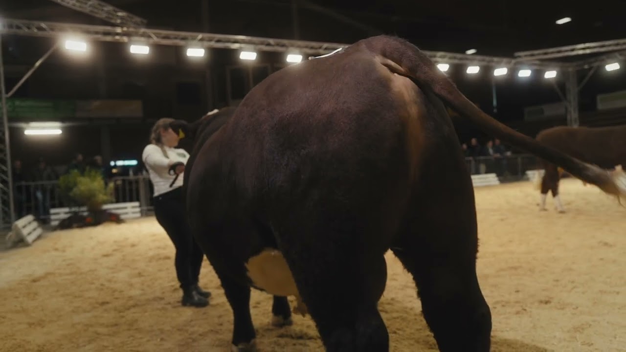 Hereford