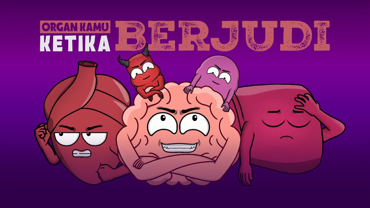 ORGAN KAMU KETIKA KAMU BERJUDI - ANIMASI ORGAN TUBUH
