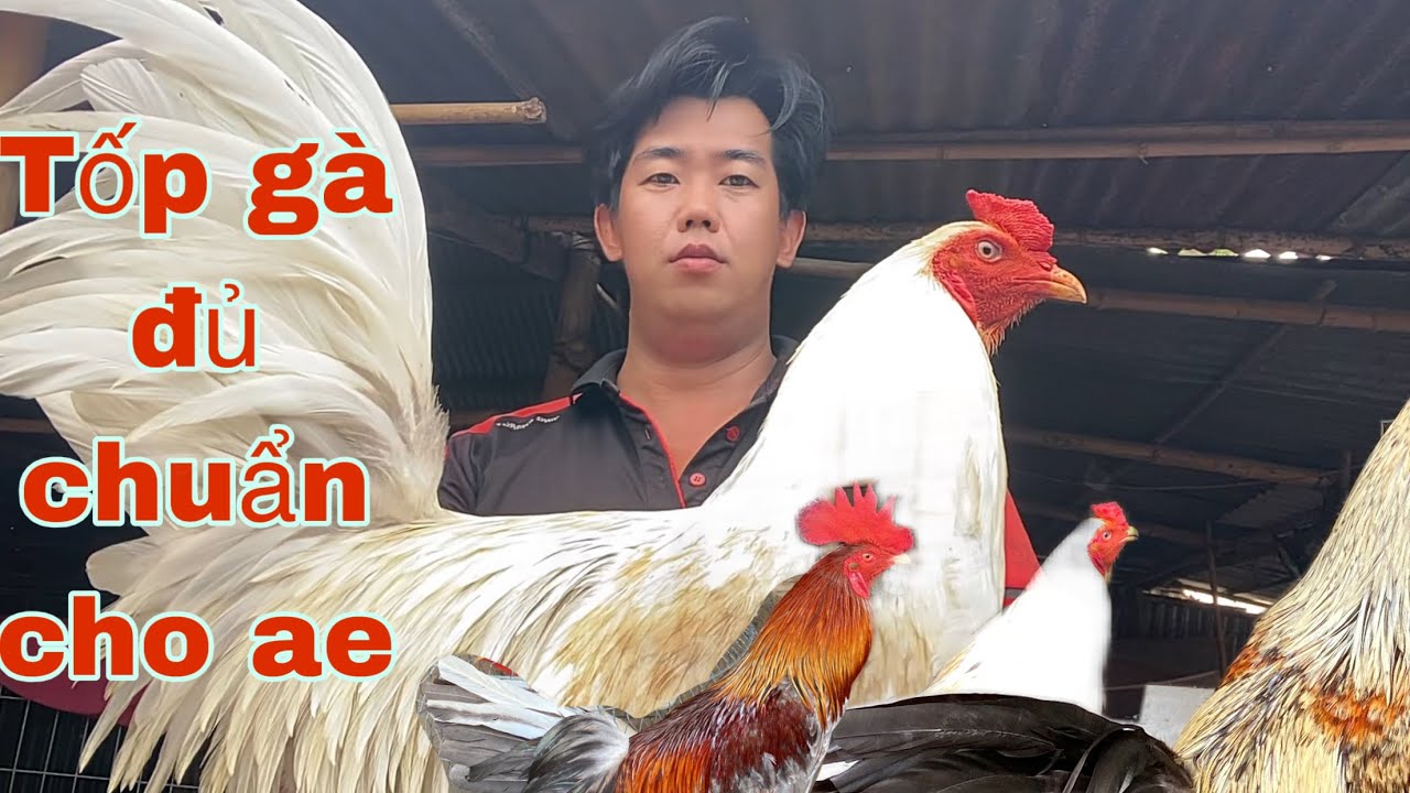 Tốp g.à đẹp cho anh em chọn lựa lh .(.0.3.9.2.9.4.9.4.1.2.)