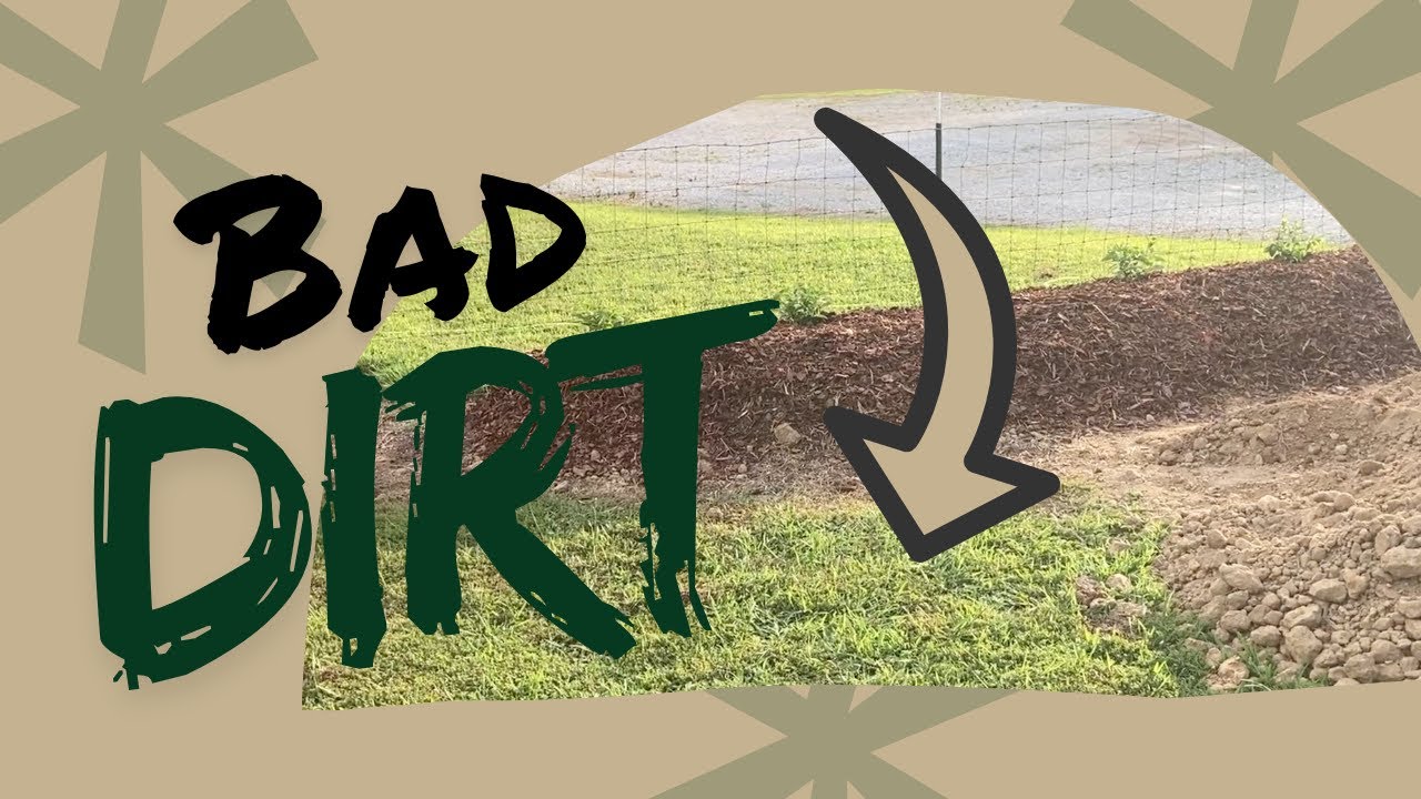 BAD Dirt, Great plants! Here's our solution when soil is terrible.