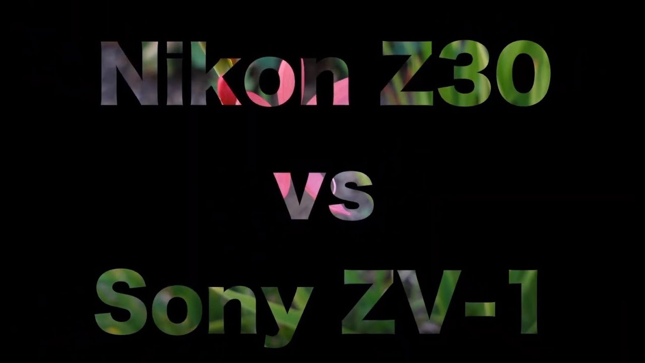 Camera Battle Nikon Z30 vs Sony ZV 1 #gregozphotos #sony #nikon #nikonz30 #sonyzv1