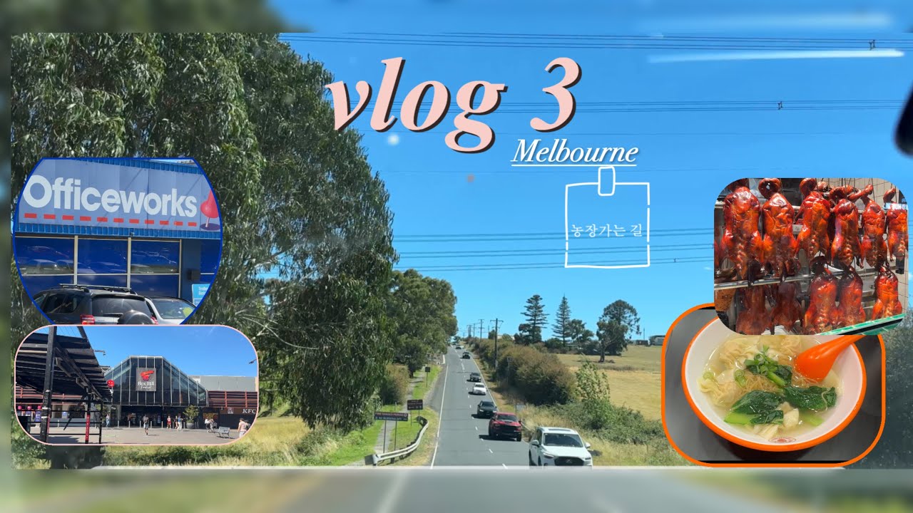 브이로그 3 -멜번 일상 | 농장 게이트 보수하고 Box Hill 구경, Officeworks 문구 쇼핑까지  ✨