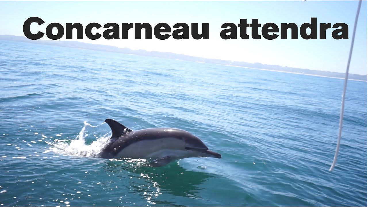 Concarneau attendra - Episode 4 - Enfin, le calme